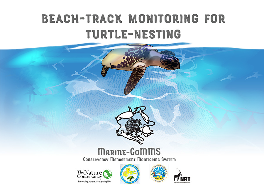 Turtle nesting monitoring